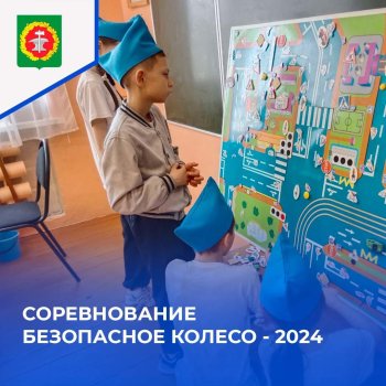 Безопасное колесо 2024.