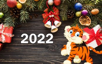 Новый 2022 год!!!