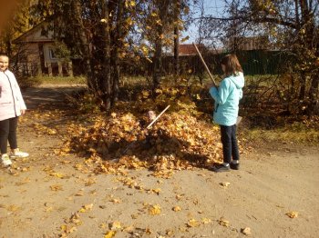 "Зеленая Россия"