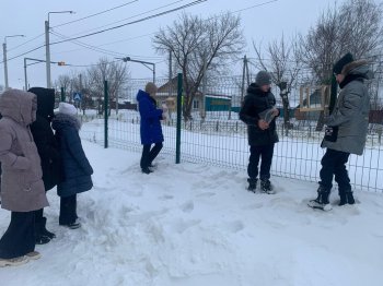 Помог зимующим птицам!