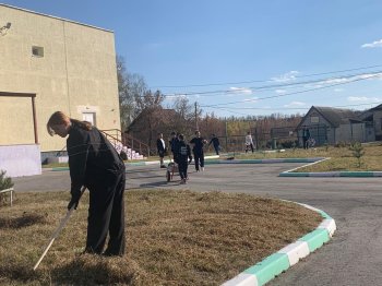 Благоустройство территории.